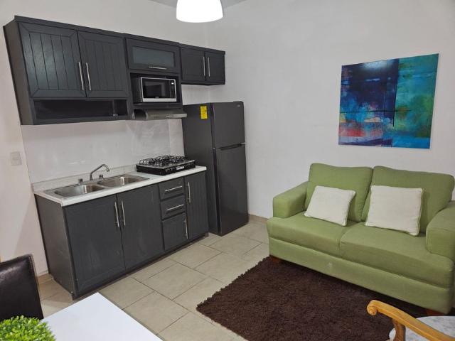 Departamento en renta en Las Lomas, Torreón