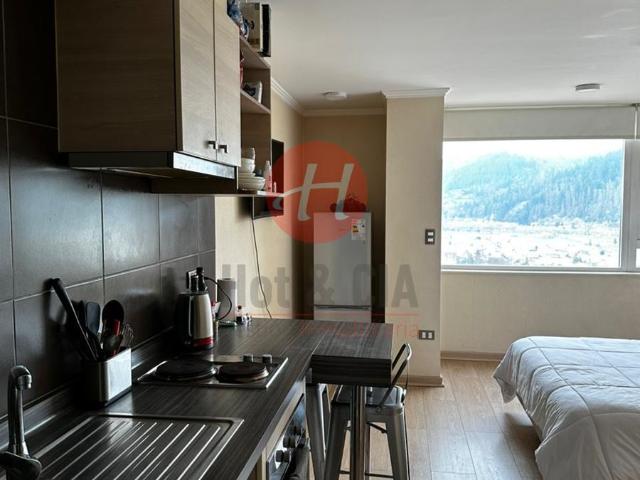 Departamento en Temuco