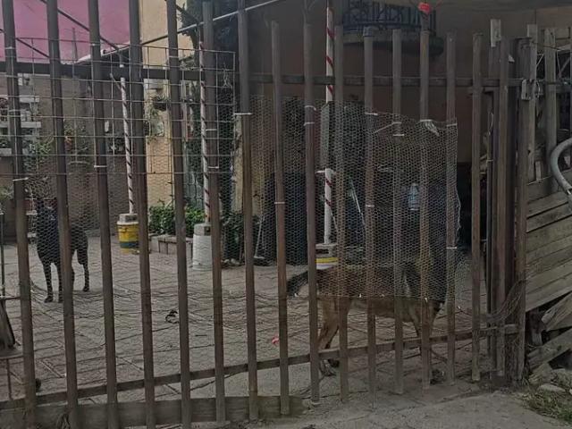 Departamento en venta en Ixtapaluca, Estado de México
