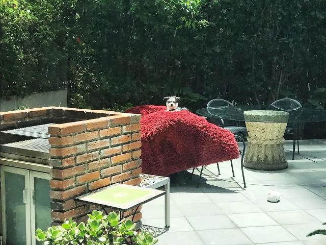 Departamento en venta en Alvaro Obregón, Ciudad de México