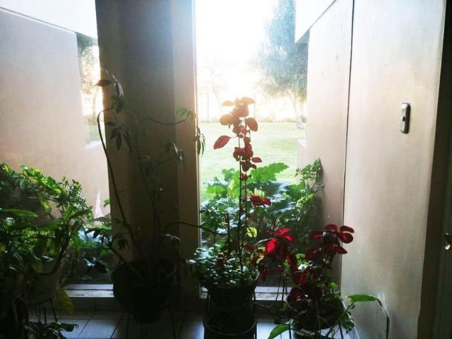 Departamento venta en Yanahuara, Arequipa