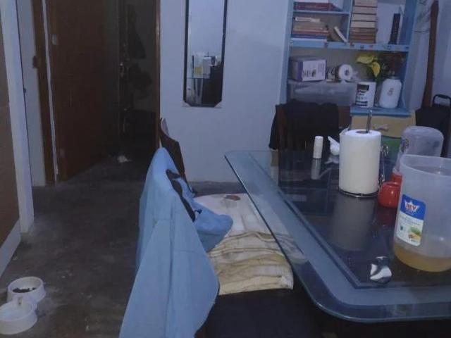 Departamento venta en San Martin De Porres, Lima Metropolitana