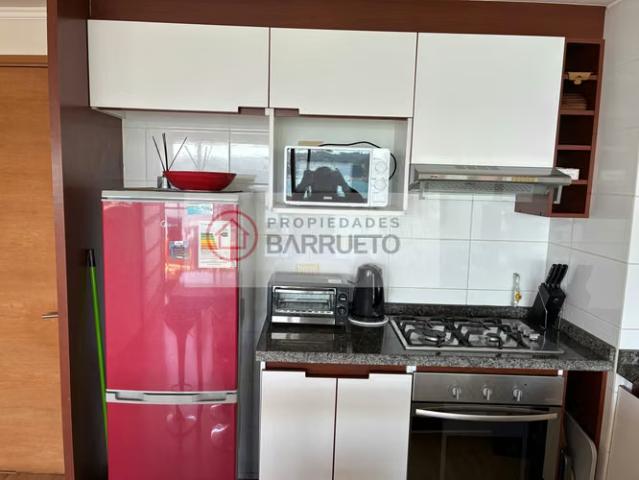 Departamento en arriendo en Pingueral, Tomé