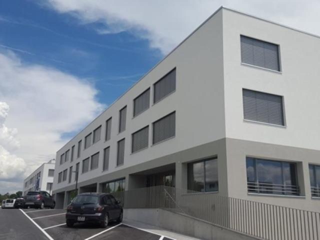 Atelier mieten in Saint-Sulpice (VD), Waadt