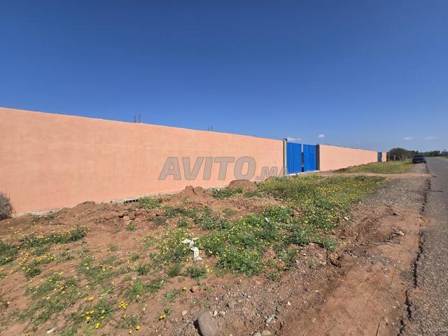 Local commercial vente à Ouled, Oued ed Dahab-Lagouira