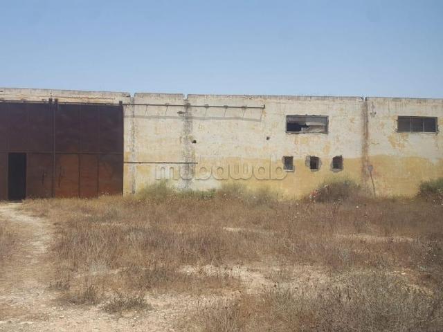 Local commercial vente à Oued ed Dahab-Lagouira