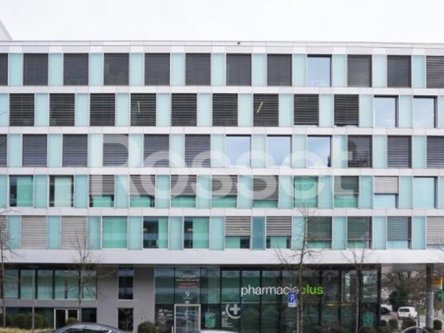 Atelier mieten in Nyon, District de Nyon