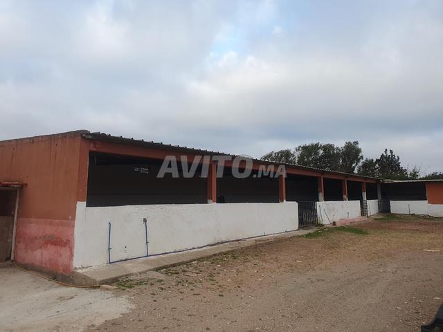 Local commercial location à Had Soualem, Gharb-Chrarda-Beni Hssen