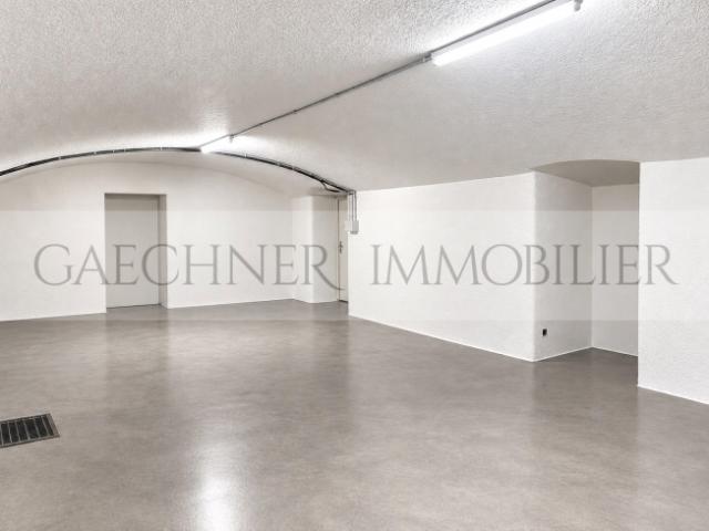 Wohnung mieten in Grottes et Saint-Gervais, Genève