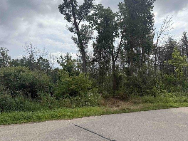 Land for sale in Bonduel, Wisconsin