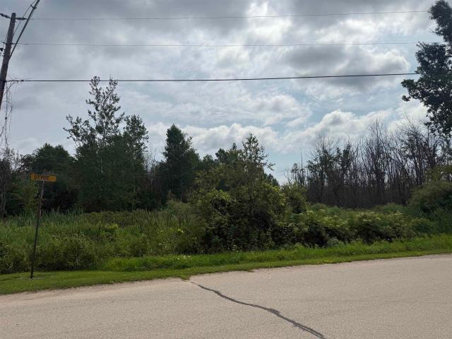 Land for sale in Bonduel, Wisconsin