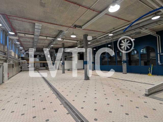 Industrie mieten in Bussigny-près-Lausanne, Waadt