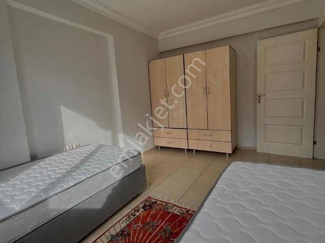 Edirne Merkez, Edirne içerisinde kiralık mülk