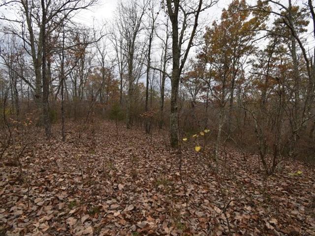 Land for sale in Tennessee