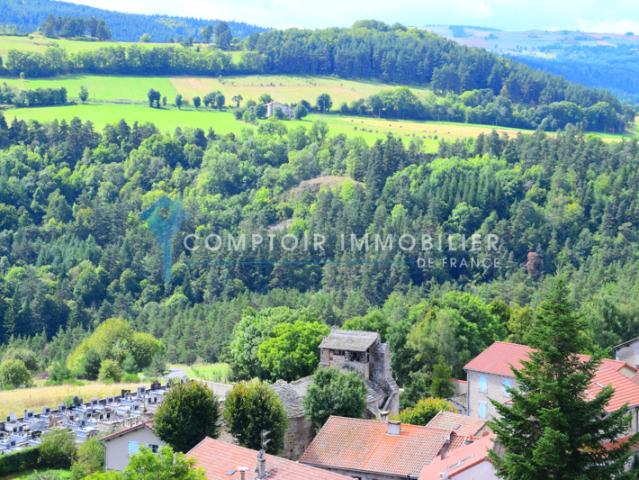 Maison vente à Le Puy-en-Velay, Salettes
