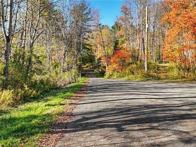 Land for sale in Brooktondale, New York
