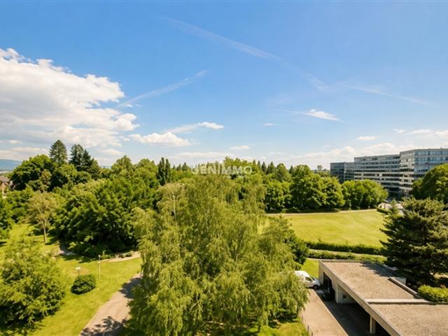 Wohnung kaufen in Le Grand-Saconnex