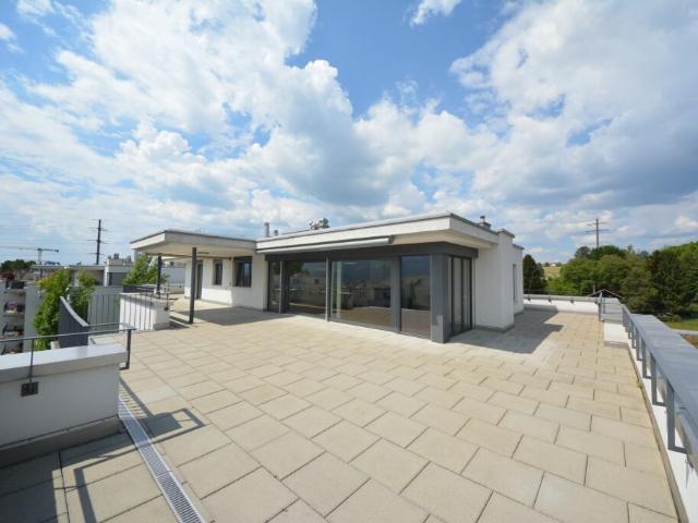 Immobilie mieten in Jona, Rapperswil-Jona