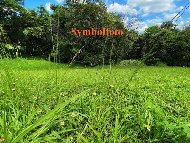 Immobilie kaufen in Ostermiething, Oberösterreich