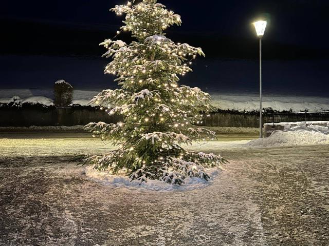 Apartment mieten in Söll, Tirol