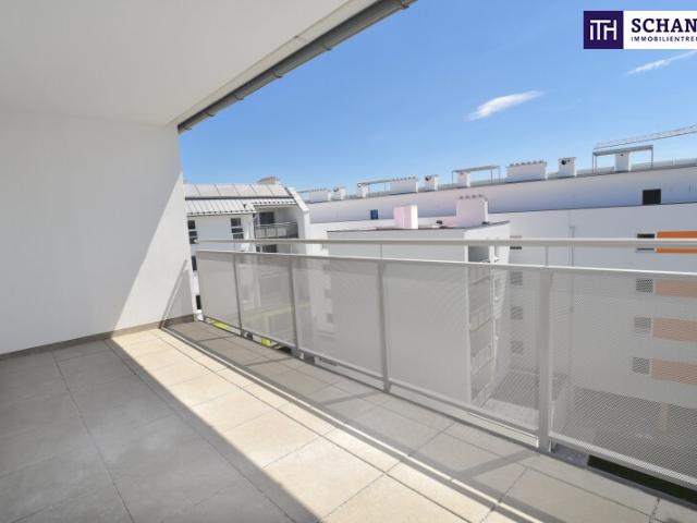 Terrassenwohnung mieten in Schwechat, Bezirk Bruck an der Leitha