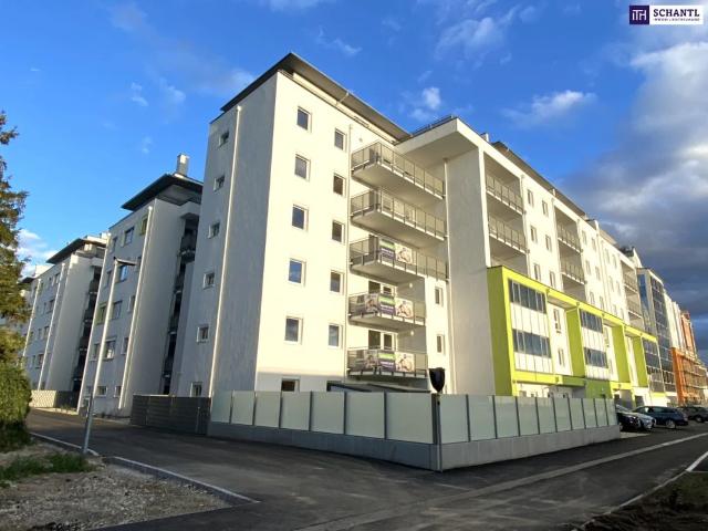 Apartment mieten in Schwechat, Groß-Schwechat