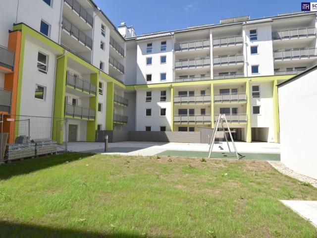 Apartment mieten in Schwechat, Groß-Schwechat