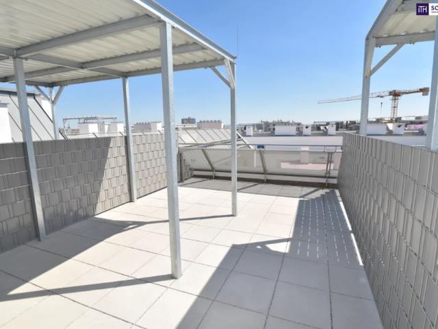 Apartment mieten in Schwechat, Groß-Schwechat Apartment mieten in Schwechat, Groß-Schwechat