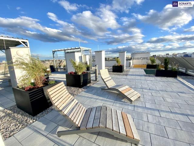 Apartment mieten in Rannersdorf, Schwechat