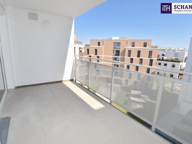 Wohnung mieten in Schwechat, Niederösterreich