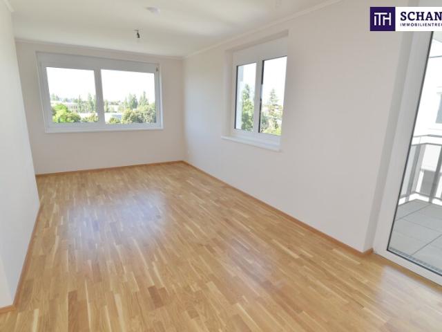 Wohnung mieten in Schwechat, Bezirk Bruck an der Leitha