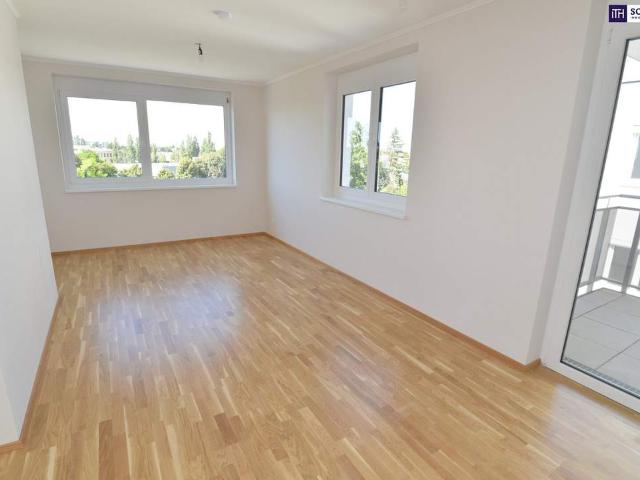 Wohnung mieten in Bruck an der Leitha, Bezirk Bruck an der Leitha