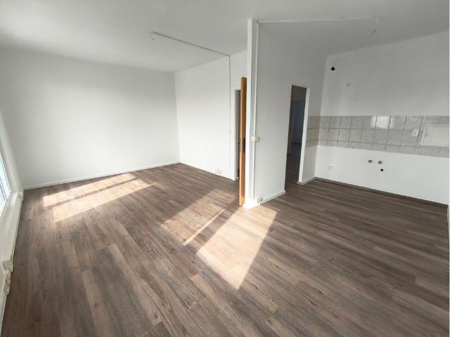 Apartment mieten in Silberhöhe, Halle