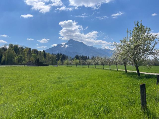 Grundstück kaufen in Neustadt, Salzburg