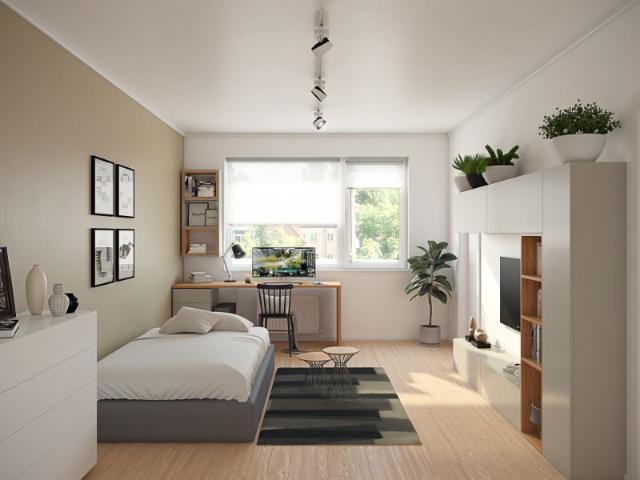 Apartment mieten in Magdeburg, Neustädter See