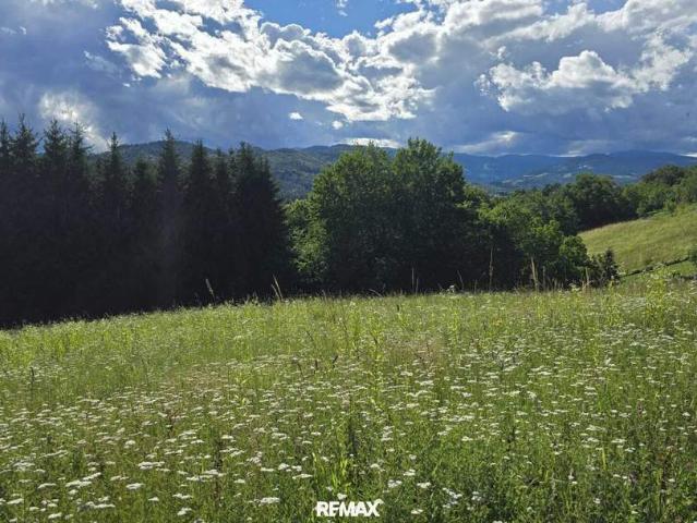Grundstück kaufen in Deutschlandsberg, Steiermark