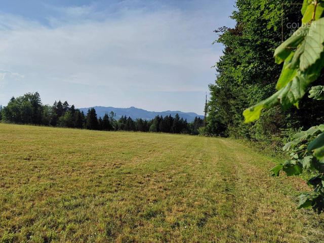 Immobilie kaufen in St. Oswald, Steiermark