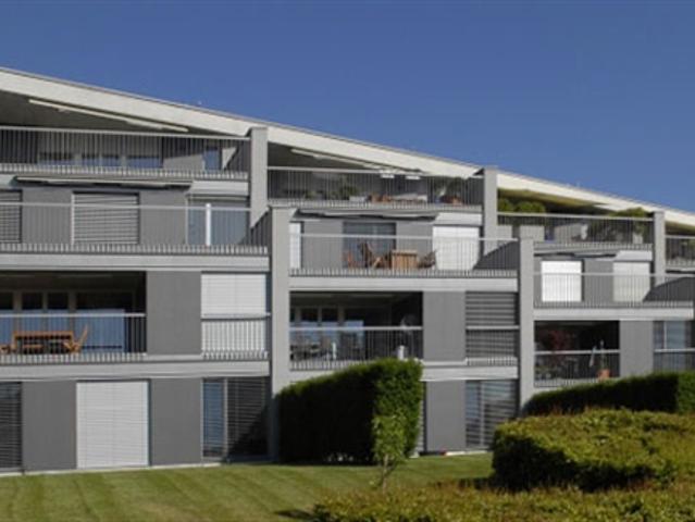 Wohnung mieten in Wädenswil, Zürich