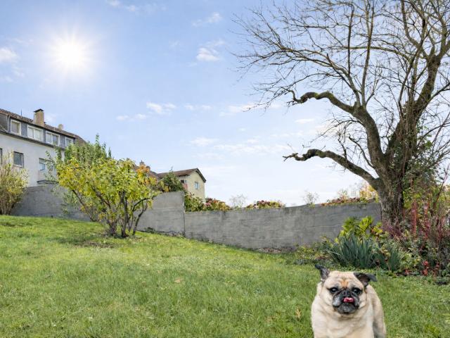 Haus kaufen in Haan, Nordrhein-Westfalen