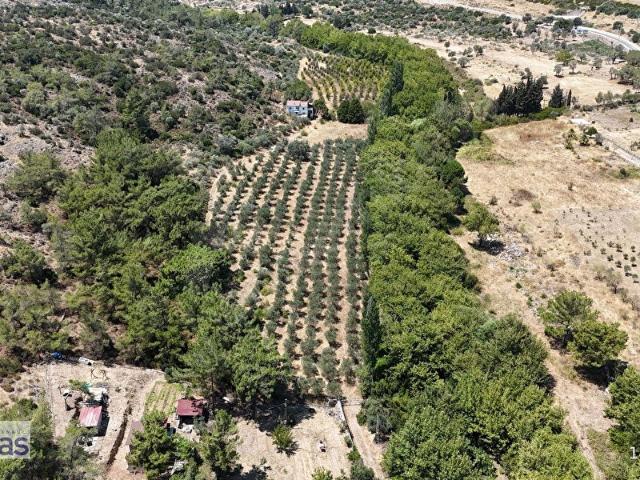 Urla, İzmir içerisinde satılık Arsa