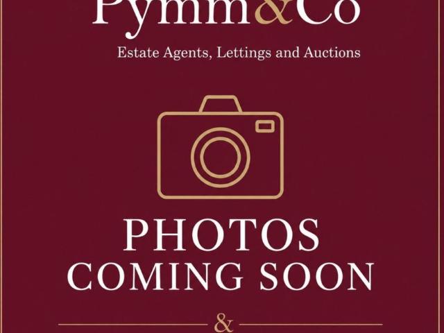 Apartment for rent in Heigham Grove, East Bank