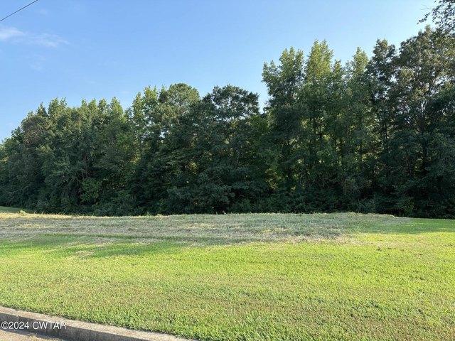 Land for sale in Tennessee