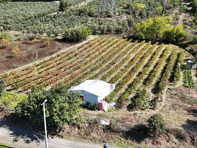 Mudanya, Bursa içerisinde satılık Arsa