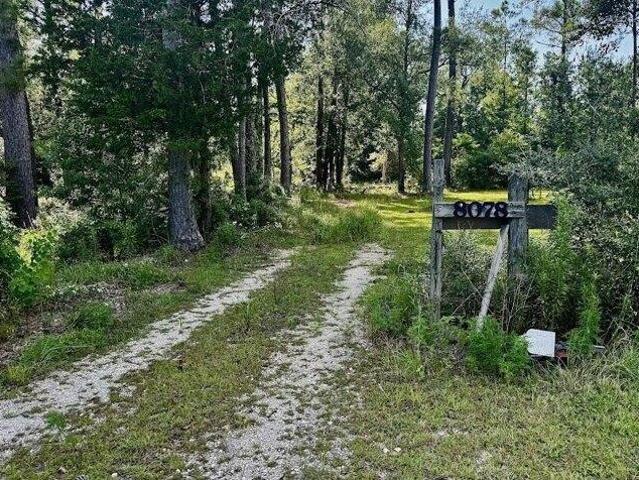 Land for sale in Deridder, Louisiana