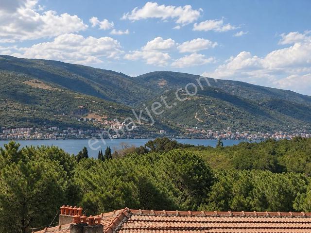 19 Mayıs, Derince içerisinde kiralık mülk