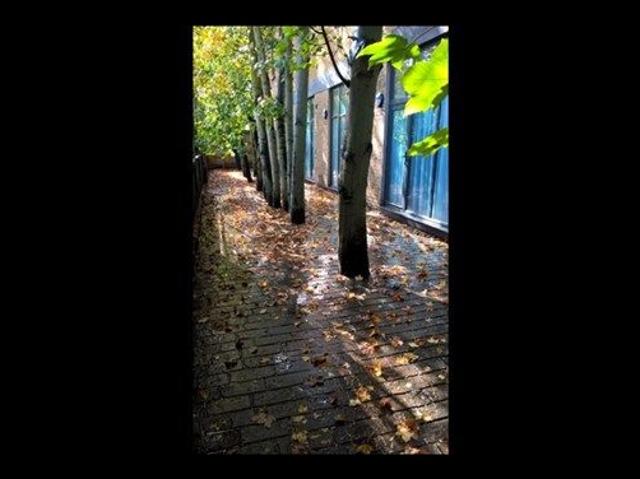 Apartment for rent in London Borough of Lewisham, Greater London