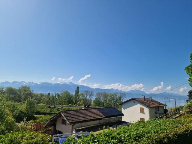 Wohnung kaufen in La Croix, Lutry, Waadt