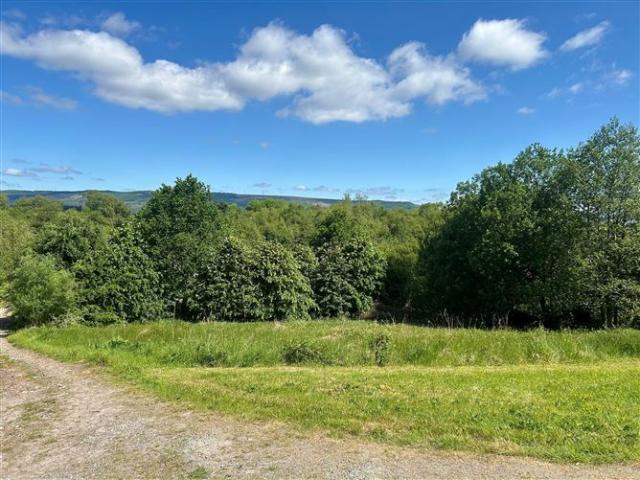 Farm for sale in Boyle