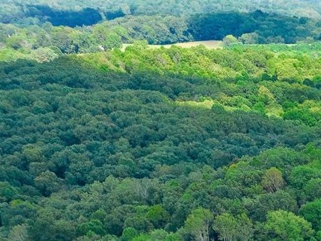 Land for sale in Vinton, Ohio