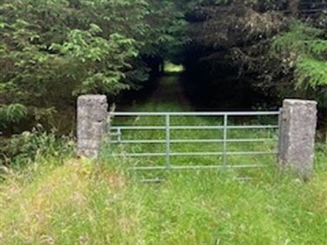Bungalow for sale in Mayo, Connacht